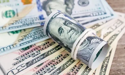 Tỷ giá USD hôm nay 13.2: USD trong nước biến động nhẹ, thế giới chờ tín hiệu từ Fed