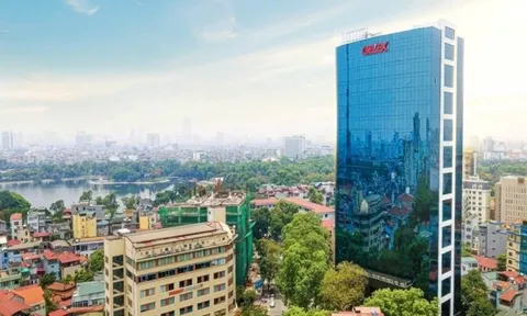 Cổ phiếu “họ” Gelex “bùng nổ” trước kỳ nghỉ Tết, VN-Index tăng vọt 10 điểm