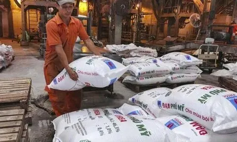 Các doanh nghiệp ngành phân bón, hóa chất làm ăn ra sao trong năm 2025