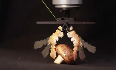 Độc lạ robot: Từ "lai" sinh học đến "da" điện tử