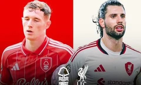Trực tiếp bóng đá Nottingham Forest vs Liverpool: Vòng 27 Ngoại hạng Anh
