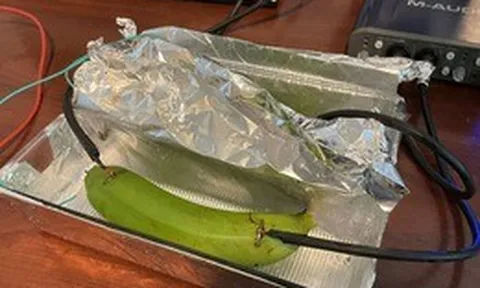 Giới sành âm thanh ngã ngửa vì không thể phân biệt được cáp đắt tiền và một quả chuối xanh