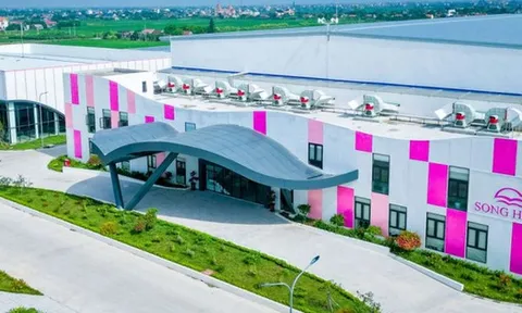 May Sông Hồng đặt mục tiêu lợi nhuận năm 2026 đạt 900 tỷ đồng