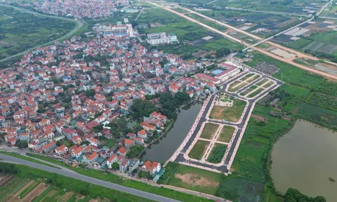 Đấu giá đất ngoại thành Hà Nội lại 'nóng', chuyên gia cảnh báo