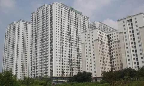 Thị trường nhà ở xã hội bớt nhiễu loạn sau thời gian 'cò' tự tung tự tác