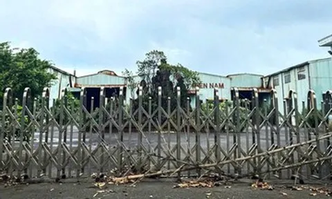 Đà Nẵng đấu giá loạt tài sản của đại gia Huy ‘máy nổ'