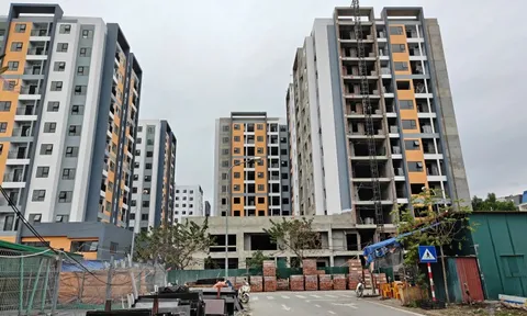 Đang nhận hồ sơ, nhà ở xã hội Bắc Ninh đã bị 'cò' thổi giá, bán sai đối tượng