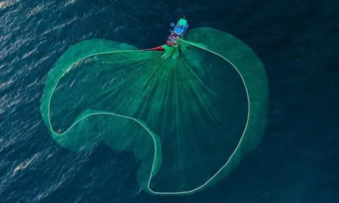 Loạt dự báo bất ngờ về thị trường chứng khoán sau phiên giảm điểm kỷ lục