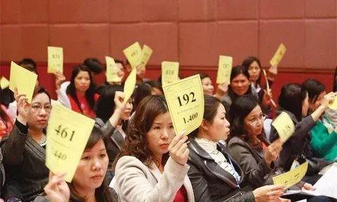 Nhiều doanh nghiệp công bố tài liệu đại hội cổ đông cho... có