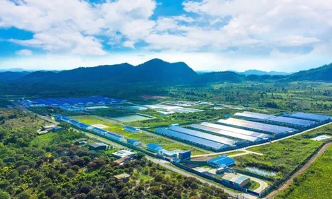 De Heus bắt tay Hùng Nhơn đầu tư 18.300 tỷ đồng thúc đẩy chuỗi chăn nuôi bền vững, mở đường cho xuất khẩu, hướng tới doanh thu 2 tỷ USD mỗi năm