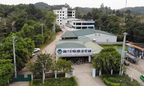 Dược liệu Việt Nam (DVM): Khi sổ đỏ của lãnh đạo 'gánh' nợ cho doanh nghiệp