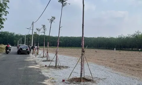 HoREA: Đề xuất bổ sung cơ chế xử lý “lối đi chung” khi hợp thửa đất tại Tp.HCM