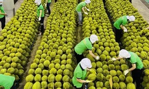 Nhiều tín hiệu tích cực với xuất khẩu Việt Nam giữa biến động Trung Đông