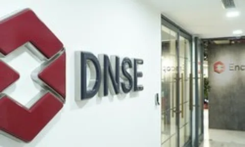 Chứng khoán DNSE đón cổ đông lớn mới
