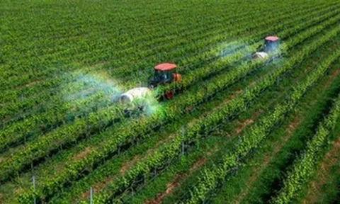 Doanh nghiệp nông nghiệp và áp lực trước biến động giá năng lượng