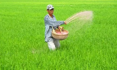 Giá phân bón neo cao, doanh nghiệp ém hàng: Nguy cơ ảnh hưởng chuỗi giá trị nông nghiệp