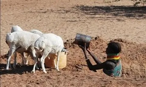 Bí mật tiến hóa giúp bộ tộc Kenya sống sót gần như không cần nước nhưng lại trở thành nguy cơ chết người hiện đại