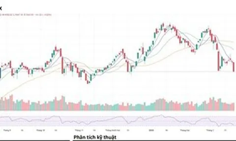 Cú rơi hơn 50 điểm cuối tuần kéo VN-Index về vùng đáy ngắn hạn, nhà đầu tư nên thận trọng