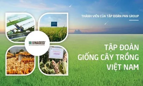 Vinaseed (NSC): Thành viên HĐQT từ nhiệm trước thềm ĐHĐCĐ thường niên 2026