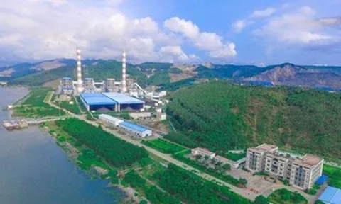 Liên quan đến vụ án quan trắc môi trường, Nhiệt điện Quảng Ninh đang làm ăn ra sao?