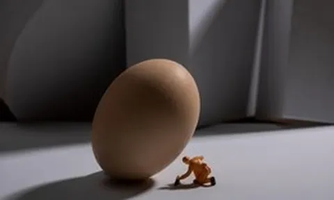 Nếu con người đẻ trứng thay vì mang thai, xã hội sẽ đảo lộn ra sao?