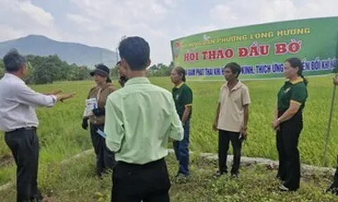 Phường Long Hương (TP HCM) tập huấn sản xuất lúa thích ứng biến đổi khí hậu cho nông dân