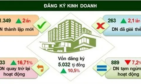 Kinh tế Lâm Đồng khởi sắc với động lực từ sản xuất và doanh nghiệp