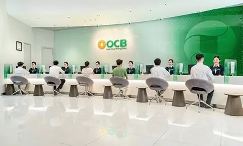 Ngân hàng OCB: Bức tranh tăng trưởng và nỗi lo về rủi ro tài chính từ nợ xấu tăng mạnh