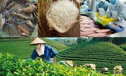 Tuyên Quang triển khai kế hoạch thúc đẩy xuất khẩu nông lâm thủy sản đến 2030