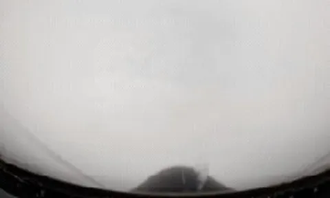 Video cực hiếm từ tâm siêu bão Melissa: Sự tĩnh lặng đáng sợ của “quái vật” Đại Tây Dương