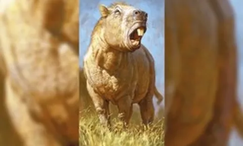 Bí ẩn loài gặm nhấm khổng lồ nhất lịch sử Trái Đất, mang khối lượng nửa tấn cùng lực cắn kinh hoàng