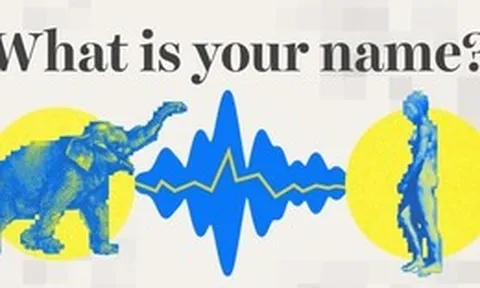 Trí tuệ nhân tạo có thể giúp chúng ta nói chuyện với động vật không?