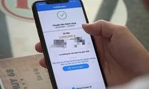 Đã đến hạn chót, hộ kinh doanh cần kiểm tra ngay điều này để tránh xử phạt