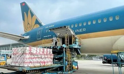 Doanh nghiệp hàng không siêu lợi nhuận báo lãi quý 1 tăng trưởng, mang 1.500 tỷ gửi ngân hàng