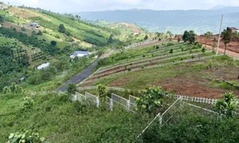 Đất nền phân lô 'chôn vốn' 4 năm, rao bán cắt lỗ không ai mua