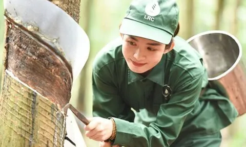 Tập đoàn Công nghiệp Cao su Việt Nam chuyển đổi xanh tạo đà cho tăng trưởng bền vững