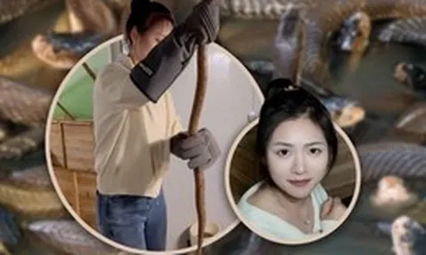 Bỏ phố về làng nuôi 60.000 rắn độc, cô gái Trung Quốc khiến mạng xã hội sửng sốt với thu nhập tiền tỷ