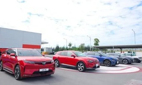 Chuyên gia Nhật trầm trồ trước một điều mà hãng xe của tỷ phú Phạm Nhật Vượng làm được: Thị phần xe truyền thống đối mặt thách thức từ đà bứt tốc của VinFast