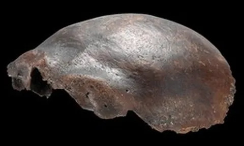 Hộp sọ được cho là của người lai Neanderthal, từng gây chấn động khoa học: Nghiên cứu mới hé lộ sự thật bất ngờ