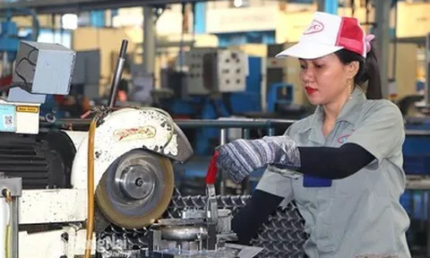 Hơn 119,4 nghìn doanh nghiệp thành lập mới, quay trở lại hoạt động trong 4 tháng