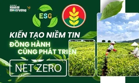 Bài 2: ESG tại Phân bón Cà Mau – Tiệm cận chuẩn quốc tế nhưng bài toán carbon vẫn còn bỏ ngỏ