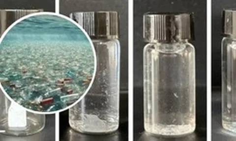 Các nhà khoa học tạo ra "nhựa sống" có khả năng tự hủy theo lệnh