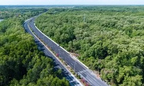 Cận cảnh đường xuyên rừng ngập mặn TP.HCM được đề xuất mở rộng lên 10 làn xe