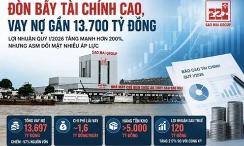 Tập đoàn Sao Mai gánh gần 13.700 tỷ đồng nợ vay, mỗi ngày trả 1,6 tỷ đồng lãi ngân hàng