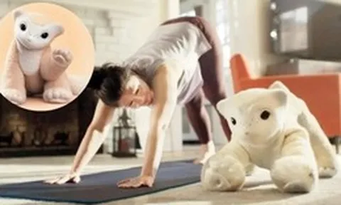 “Cha đẻ robot hút bụi” quay lại khởi nghiệp: Tạo ra một “thú cưng cyber” hiểu cảm xúc con người