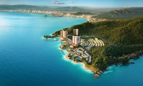 KDI Holdings của ông Kiều Hữu Dũng và loạt biến động đáng chú ý