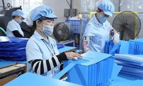 TPHCM dẫn đầu cả nước về Chỉ số hiệu quả kinh tế tư nhân