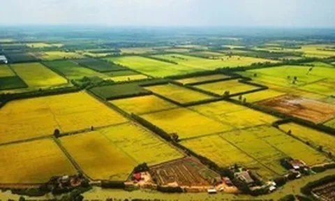 Sửa Luật Đất đai: Hết thời đầu cơ, gom đất để đón đền bù?