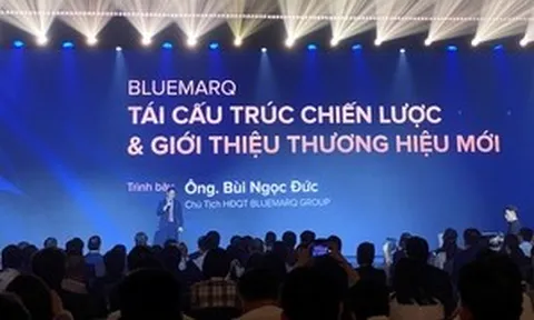 Tập đoàn Đất Xanh đổi tên thành Bluemarq Group