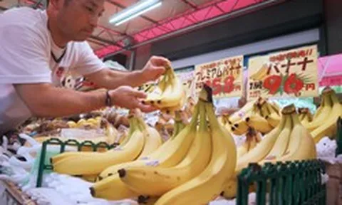 Một mặt hàng ê hề ở Việt Nam nhưng lại đang khan hiếm ở Nhật Bản, khủng hoảng thiếu hụt nghiêm trọng nhất trong 50 năm qua